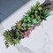 19 Pcs Artificial Succulent Arrangement in Wooden Planter Box – Mixed Faux Small Potted Plants Centerpiece for Farmhouse Table, Windowsill, Shelf, Mantel & Home Decor